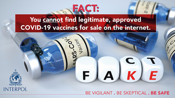 Интерпол предупреждава - псевдотърговци продават фалшиви ваксини онлайн