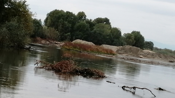 Тяло на мъж изплува от река Арда, случаят се разследва