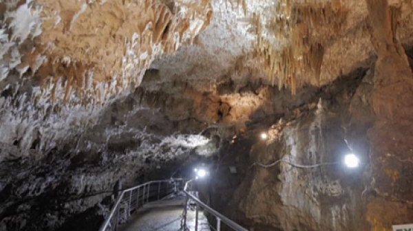 Туристи живели 25 дни в пещера в Индия заради карантината