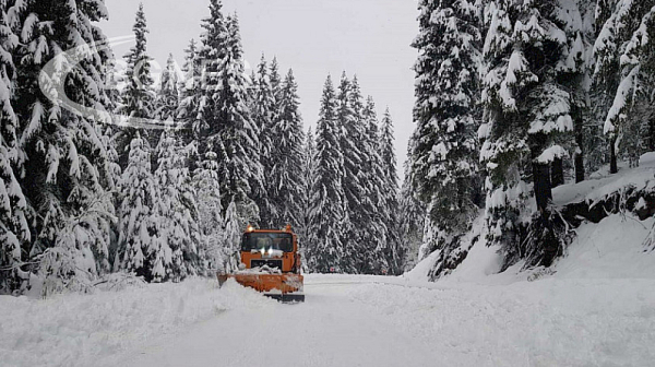 Заради тежкия снеговалеж: 20 села и махали осъмнаха без ток в Смолянско