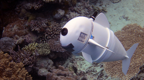 Поглед към бъдещето: Риби-роботи чистят световните океани от пластмаса