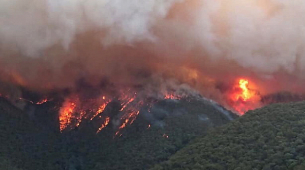 Димът от пожарите в Австралия ще обиколи цялото земно кълбо