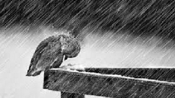 Силен вятър в почти цялата страна