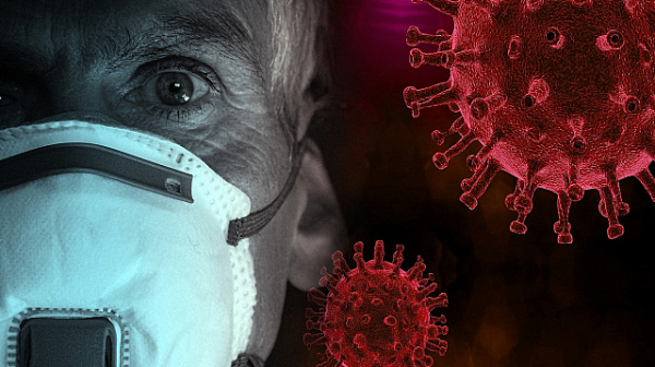 4,5% положителни за коронавирус, 627 излекувани, 24 починали