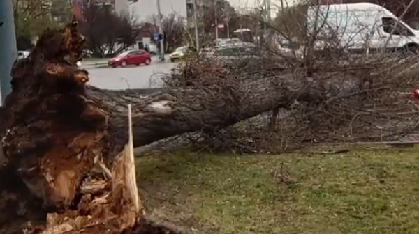 Ураганният вятър спря тока в части на София, блокира влакове и събори дървета
