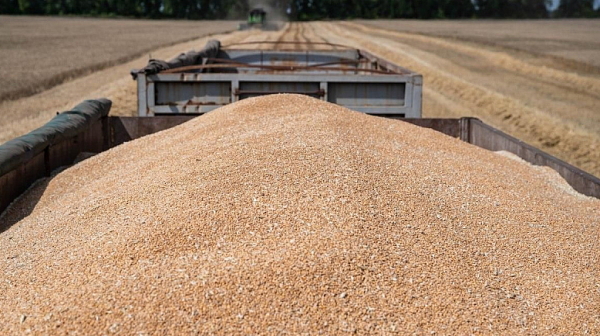 Русия е плячкосала над 2 милиона тона зърно от Украйна през 2025 г.