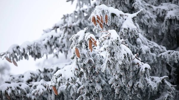 Снежен и променлив януари: Студ, валежи и кратки затопляния през месеца