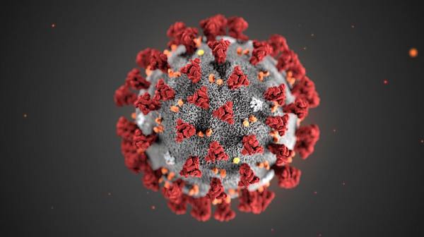 За първи път в света! Учени откриха как да блокират коронавируса