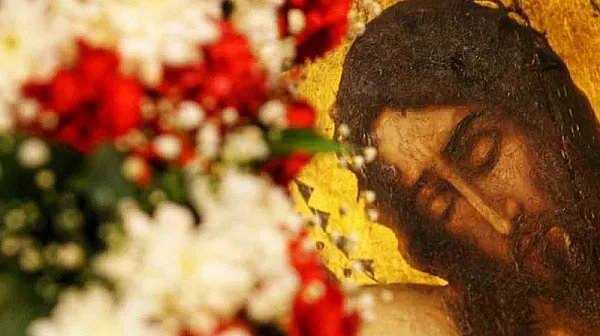 От „магарето на мира“ до върбовите венчета: Непознатите символи на Цветница