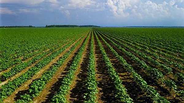 От водещ износител до вносител: Френският агросектор с първи търговски дефицит от десетилетие