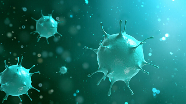 СЗО: Над 360 милиона са случаите на коронавирус по света