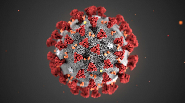 Германски учени: Очаква ни втора, много по-унищожителна вълна на коронавируса