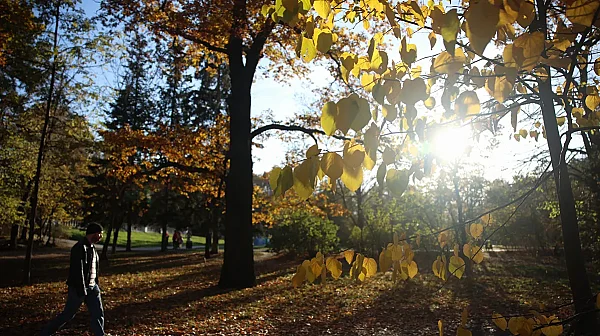 Слънчево начало на седмицата