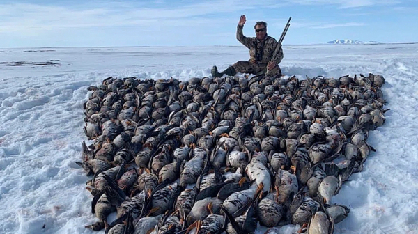 Руски депутат позира с мъртви птици в Камчатка; фотошоп е, твърди той